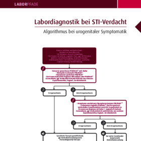 Labordiagnostik bei STI-Verdacht: Algorithmus bei urogenitaler Symptomatik