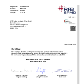 pVB19 Immunität