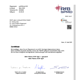 pvB19 Immunität