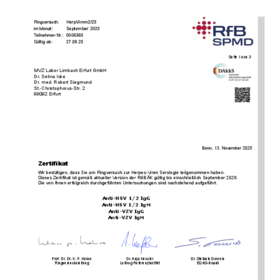 Herpesviren Immunität