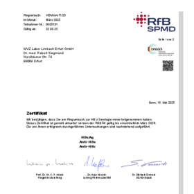 HBV Immunität