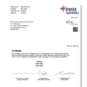 HBV Immunität