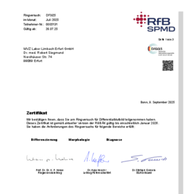 Manuelles Differentialblutbild