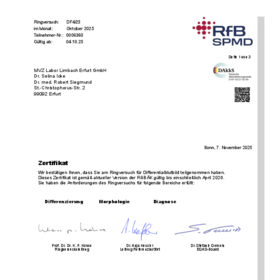 Manuelles Differentialblutbild