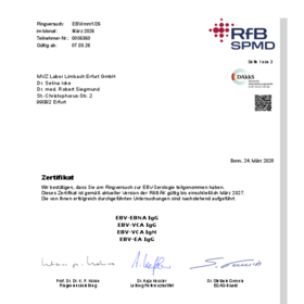 EBV Immunität