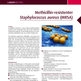 Methicillin-resistenter Staphylococcus aureus (MRSA)